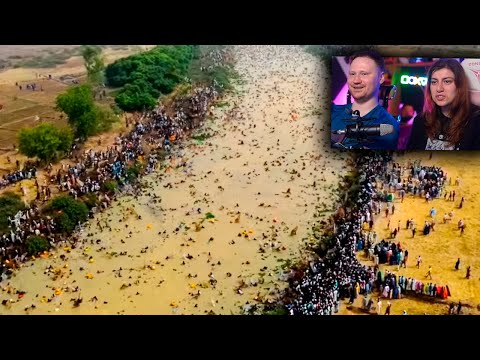 Видео: Случаи в Природе Один на Миллион | РЕАКЦИЯ на Мастерскую Настроения