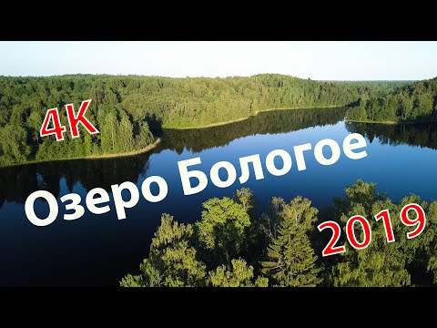 Видео: Озеро Бологое в 4K