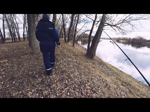 Видео: Поиск весенней щуки . Река Ахтуба