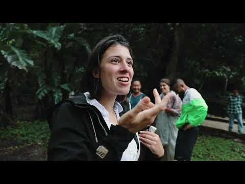 Видео: Паленке, Таинственный Город Красной Королевы | Мексика 🇲🇽