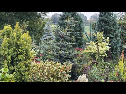 Видео: Мой сад моими глазами 🏡 ЧАСТЬ 1 🏡 Mein Garten