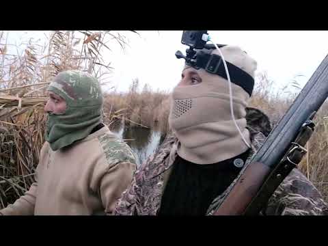 Видео: Охота на утку и лысуху / СЕЗОН ОХОТЫ / Охота на утку 2023