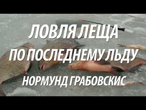 Видео: РЫБАЛКА ПО ПОСЛЕДНЕМУ ЛЬДУ НА ЛЕЩА С НОРМУНДОМ ГРАБОВСКИСОМ В МАРТЕ