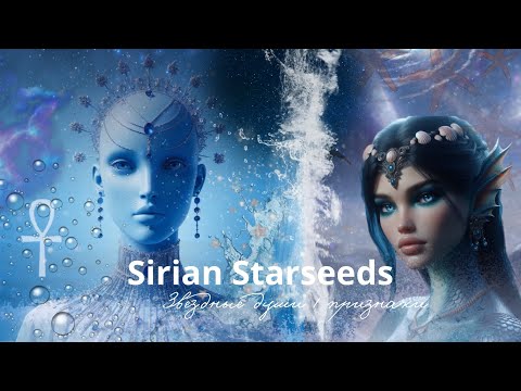 Видео: Sirian starseeds. СИРИУС. ЗВЕЗДНЫЕ ДУШИ. Египетские / греческие боги, кошки, дельфины ✨🐬