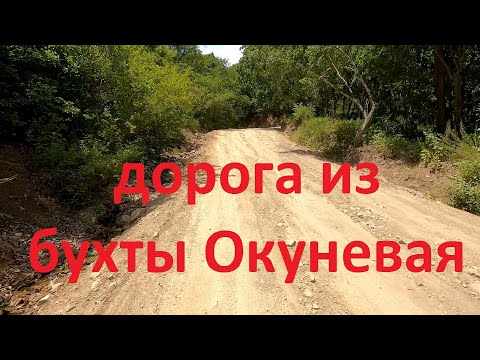 Видео: Состояние дороги из бухты Окуневая в 2023 году