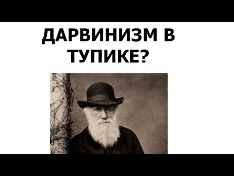 Видео: Дарвинизм в тупике?