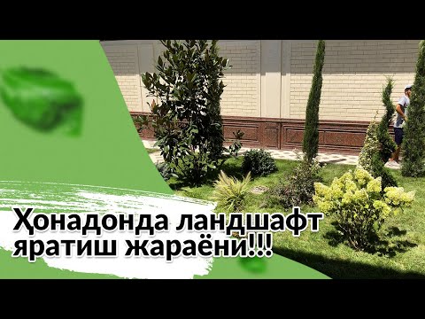Видео: Ҳонадонда ландшафт яратиш жараёни!!!