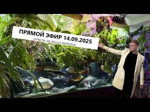 Видео: СТРИМ с ответами на Ваши вопросы. 14.09.2025