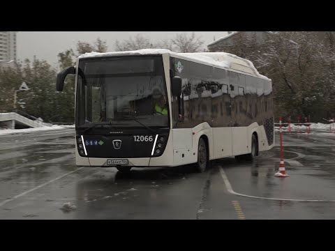 Видео: Водители пассажирских автобусов Новосибирска соревновались в мастерстве // 10.10.25