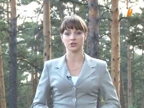 Видео: Три четверти — «Дунькина роща» (16+)