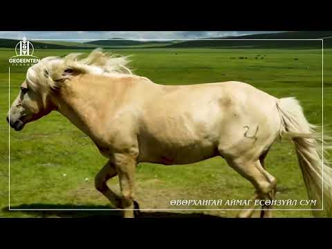 Видео: Өвөрхангай аймгийн Есөнзүйл сумын товч танилцуулга
