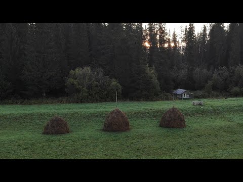 Видео: 900 км по северным рекам. 24 дня один в тайге Ч12. Деревни на Ижме. Лесная изба. Охотничье зимовье