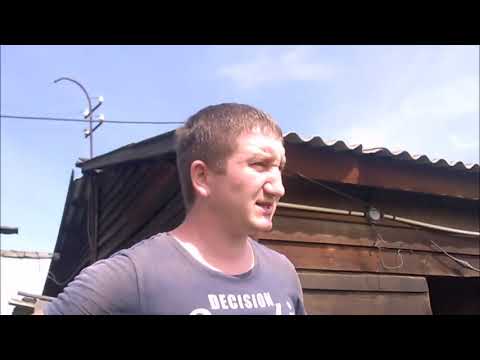 Видео: КАК ВЫЛЕЧИТЬ КРОЛИКА ОТ УШНОГО КЛЕЩА ЗА 2 ДНЯ