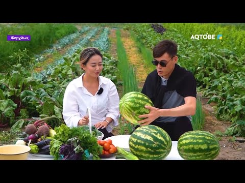 Видео: Жерұйық хабары: Мұғалжар ауданы 09.11.2025ж