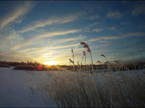 Видео: Ладога. Лаврово. Утопили бур. Рыбу не поймали, но весело провели время.