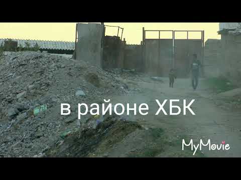 Видео: Ослинная ферма которое загрязняет город Ош!!!