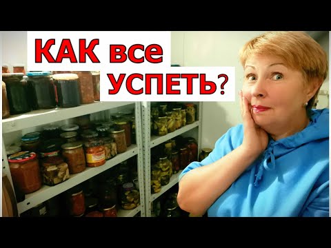 Видео: Неужели вы все это сож.....те? Реакция на хейтеров . Как все успеть?