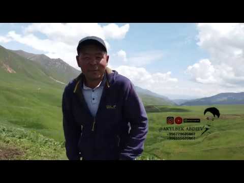 Видео: Токтогул району Толук айылы