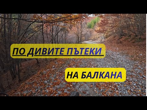 Видео: ДО ВРЪХ СЕДЛЬОВЕЦ 1200 МЕТРА С КОЛЕЛО 