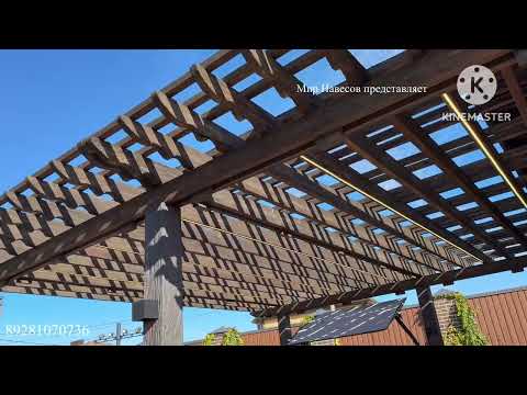 Видео: 25 октября 2025 г.