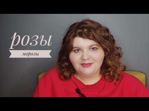 Видео: Розы на морозе | зимние ароматы с розой