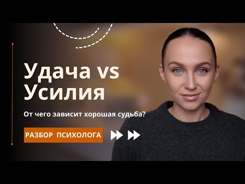 Видео: Успех - это удача, внешние обстоятельства или все же усилия?