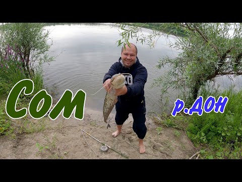 Видео: река ДОН