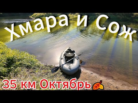 Видео: Осень. Октябрь🍂. 35км по реке⛵