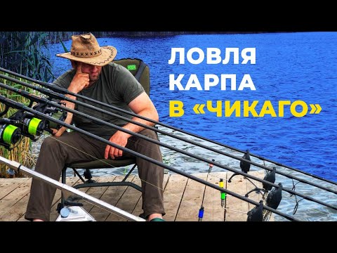 Видео: Ловля карпа в "ЧИКАГО". Прикормка для карпа.