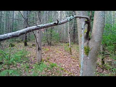 Видео: 2025-10-17 - Сезон НЕ закрыт!