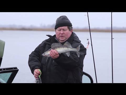 Видео: Ночная ловля судака в Самаре | Ловля окуня на отводной.