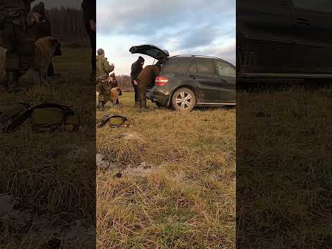 Видео: С первым днем зимы Господа #equinox #metaldetecting #коп #minelab #кладоискатели #coin