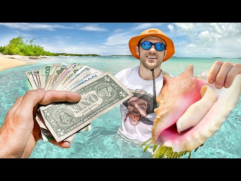 Видео: КАК ЛЕГКО ЗАРАБОТАТЬ 1000$ НА ОСТРОВЕ