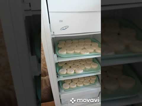 Видео: Сырники на продажу. Мои истории