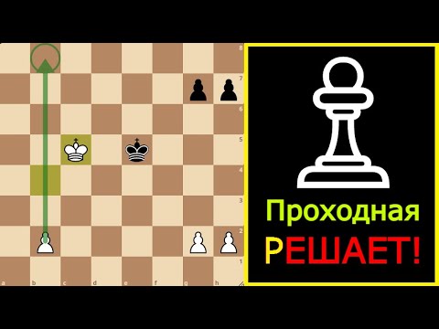 Видео: Отказанный ферзевый гамбит: РАЗНОС!