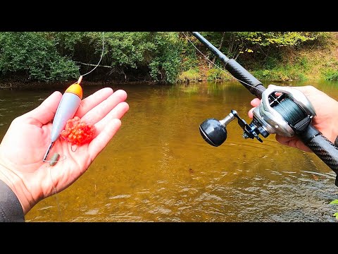 Видео: Ловля лосося поплавком с берега!