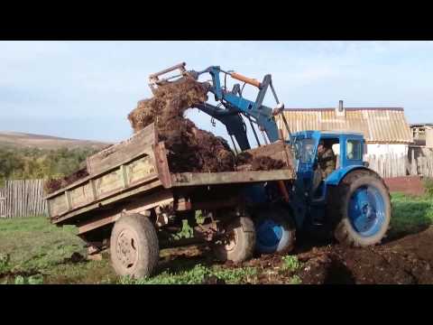 Видео: Самодельные вилы на кун, погрузка навоза на Т-40АМ