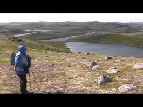 Видео: Побережье Баренцева моря у Дальних Зеленцов