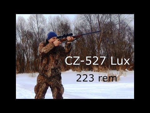 Видео: Карабин CZ-527 Lux  223 rem для охоты