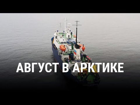 Видео: АВГУСТ В АРКТИКЕ | Документальный фильм