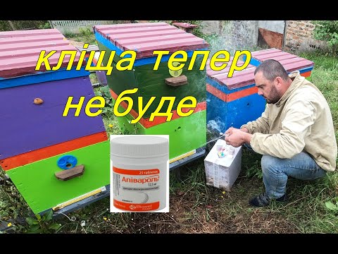 Видео: Контроль обробки бджіл від кліщ варроа / Апівароль