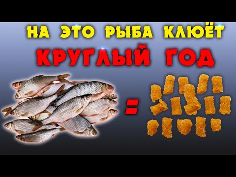 Видео: Рыба клюёт на это круглый год!!! Не слетает с крючка, быстро приготовить.