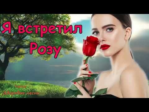 Видео: Formatia Curnut (Группа Курнуц) - Я встретил розу, дворовые песни #дворовые #курнуц