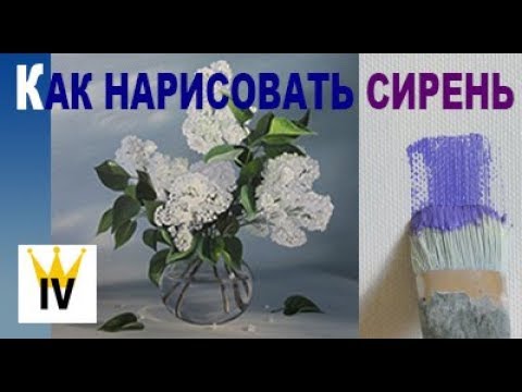 Видео: Как нарисовать сирень