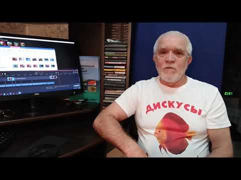 Видео: Дискусы. Хлорамин Т или Празиквантел, что лучше? (Последний выпуск).