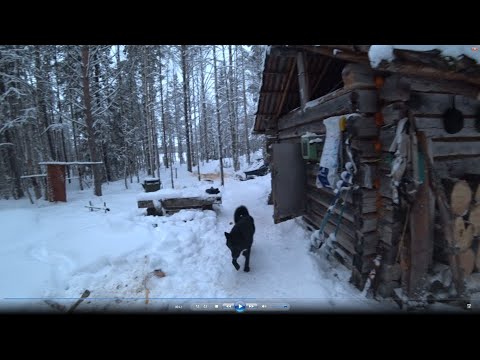 Видео: В ТАЙГУ С НОЧЕВКОЙ / ИЗБА / ТАЕЖНЫЙ БЫТ / ПРОВЕРКА ЖЕРЛИЦ / ПРОВЕРКА КАПКАНОВ НА КУНИЦУ