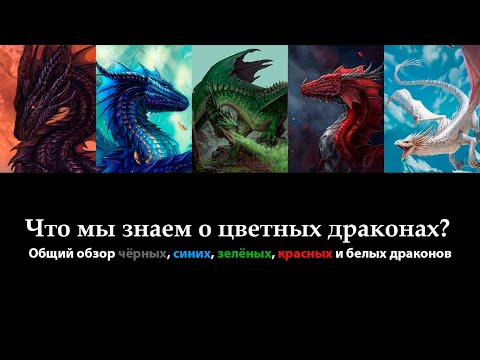 Видео: Что мы знаем о цветных драконах? | D&D Lore