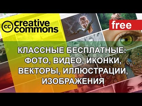 Видео: БЕСПЛАТНЫЕ ФОТО 🚔 ВИДЕО ИКОНКИ ВЕКТОРЫ ИЛЛЮСТРАЦИИ ИЗОБРАЖЕНИЯ.   Загрузить. В хорошем качестве