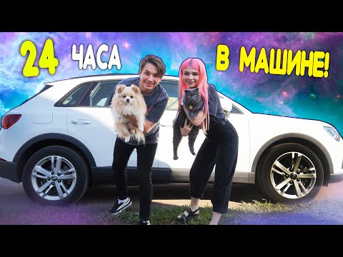 Видео: 24 часа В МАШИНЕ! ПУТЕШЕСТВИЕ С КОШКОЙ И СОБАКОЙ НА МАШИНЕ! Кошке Баттерс СТАЛО ПЛОХО!