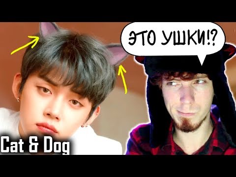 Видео: TXT (투모로우바이투게더) 'Cat & Dog' Official MV РЕАКЦИЯ | РЕАКЦИЯ НА TXT CAT AND DOG